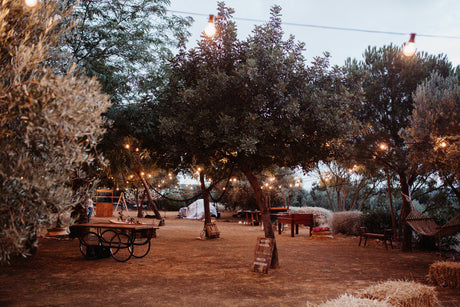 What is the difference between interior design and interior decorating?