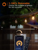 addlon Smart Outdoor String Lights