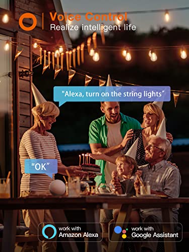 addlon Smart Outdoor String Lights